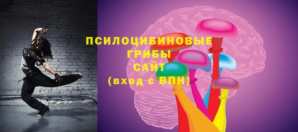 мяу мяу мука Аркадак