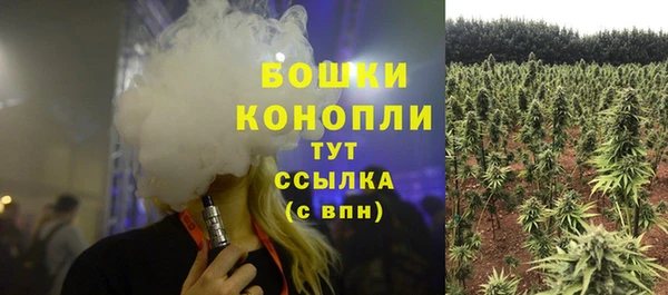 мяу мяу мука Аркадак