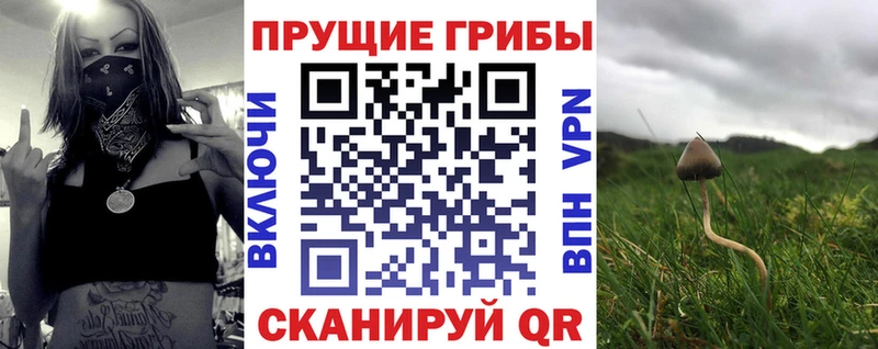 Галлюциногенные грибы мицелий  Урень 