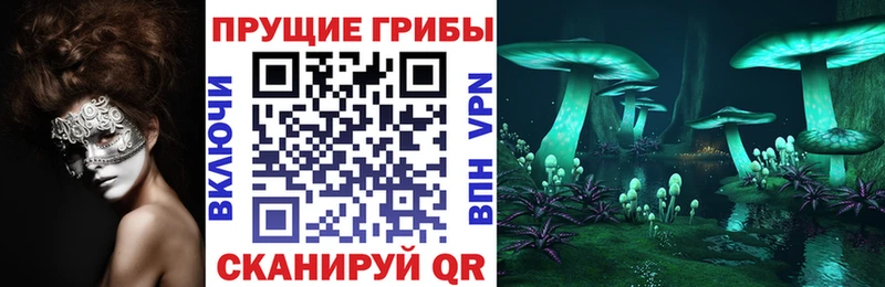 Галлюциногенные грибы MAGIC MUSHROOMS Урень